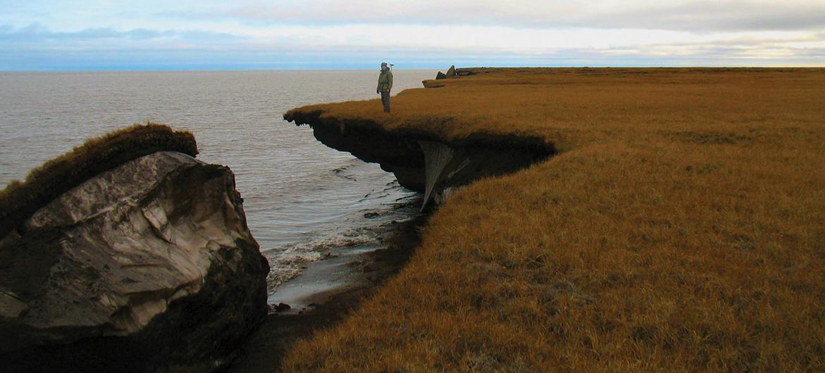 A erosão
                                                          do permafrost
                                                          na Costa
                                                          Ártica do
                                                          Alasca.