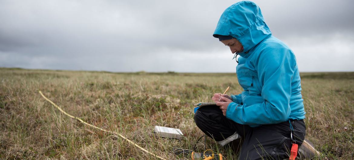 Dra. Susan
                                                        Natali,
                                                        cientista do
                                                        Woodwell Climate
                                                        Research Centre,
                                                        estuda
                                                        permafrost na
                                                        região do Delta
                                                        Yukon-Kuskokwim,
                                                        no Alasca.